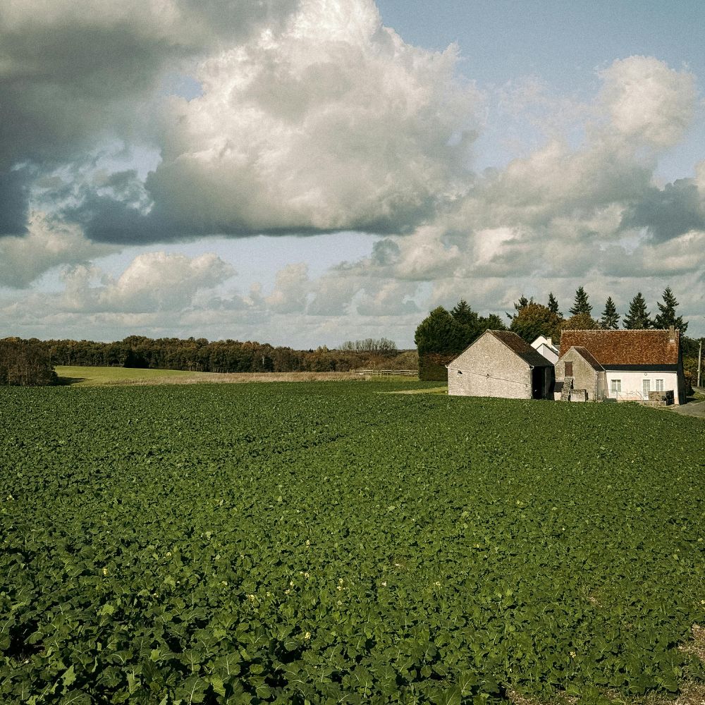 Manage Pension-related Inheritance Tax (IHT) Risks Using IEP Apex